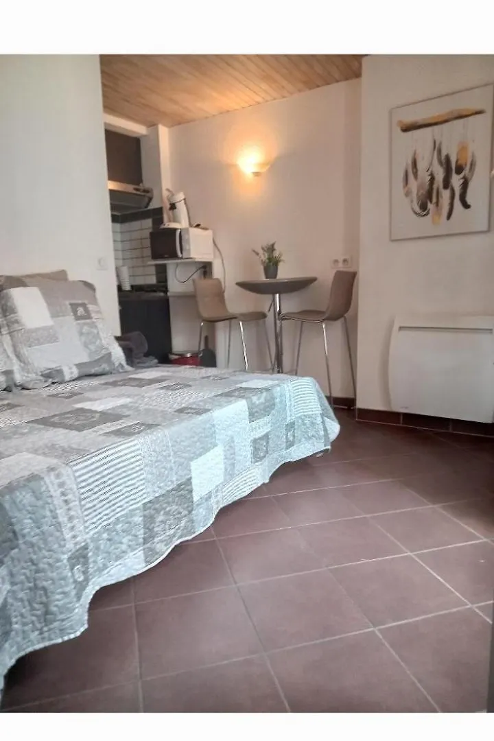 Studio Dans Le Centre Historique Apartment Le Puy-en-Velay